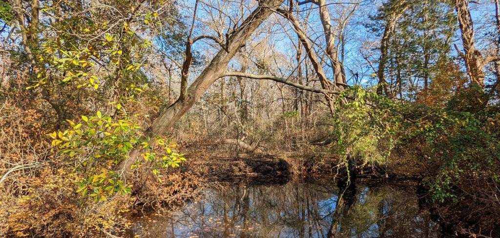 Duane-Loveland_Brecks-Mil-on-Brandywine